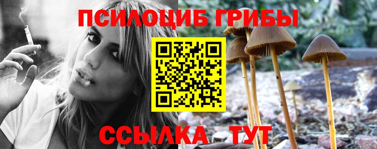 Псилоцибиновые грибы мухоморы Биробиджан